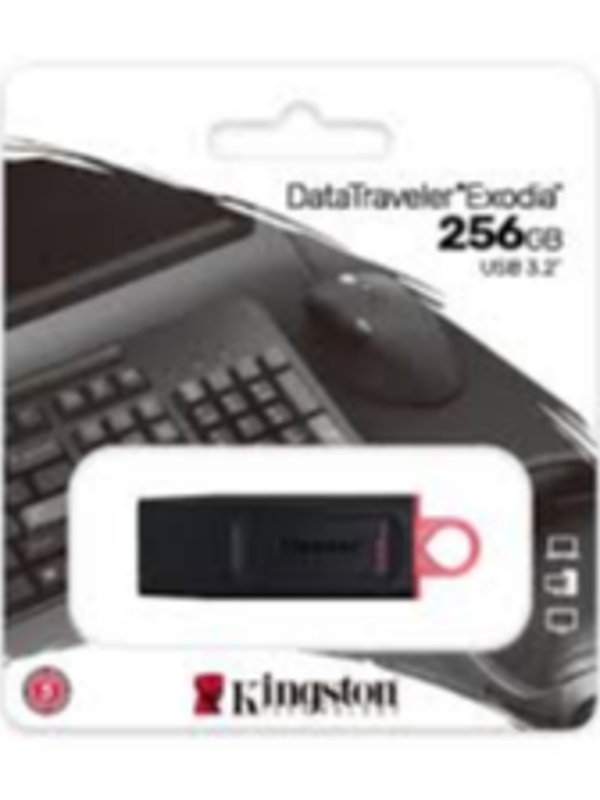KINGSTON 256GB PENDRIVE (3.2)