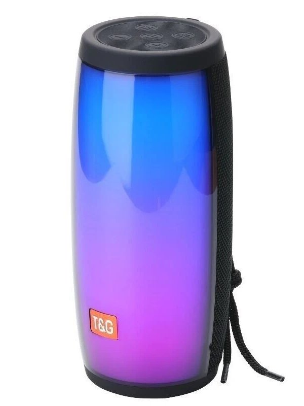 T&G TG-317 WIRELESS SPEAKER